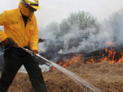 Arde la sierra de Hidalgo