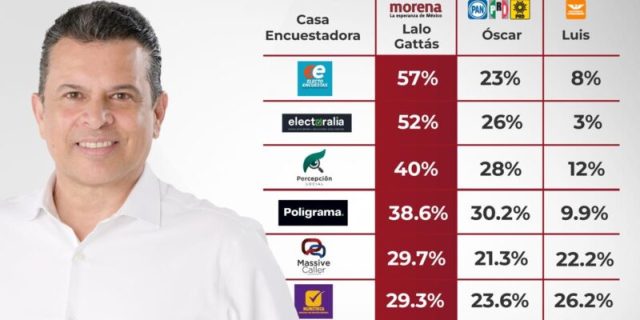 LALO GATTAS