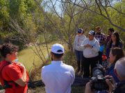 IMPLEMENTA CARMEN LILIA CANTUROSAS ACCIONES DE PROTECCIÓN AL MEDIO AMBIENTE A TRAVÉS NUEVA DEPENDENCIA